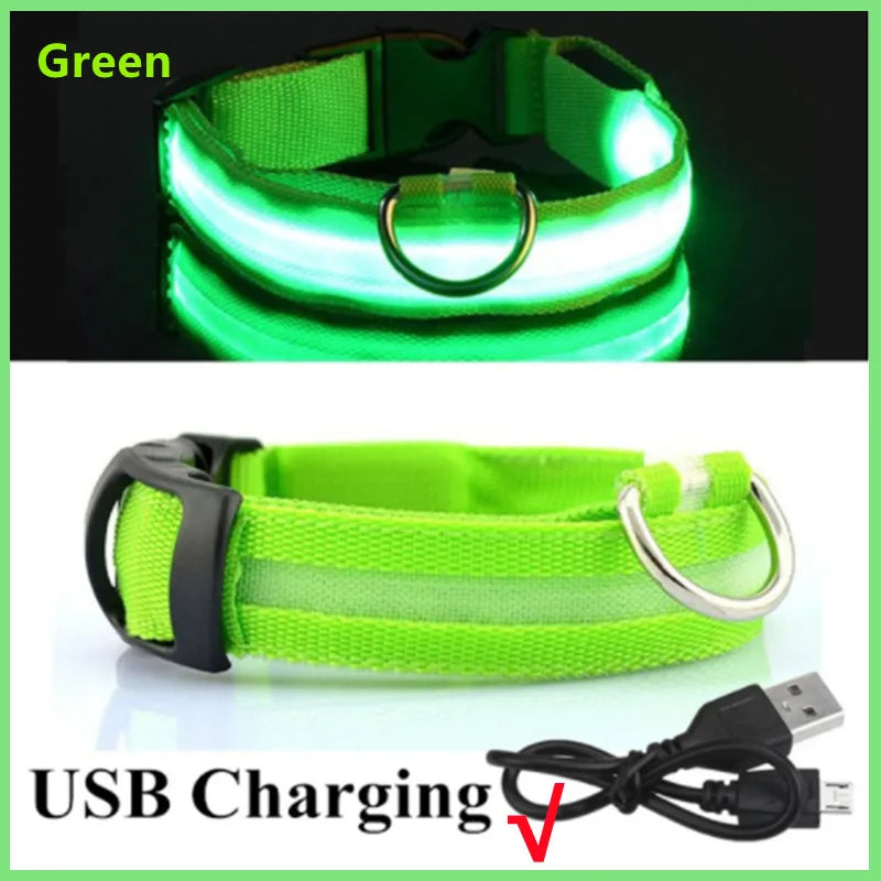 USB Rechargeable LED Dog Collar Night Safety