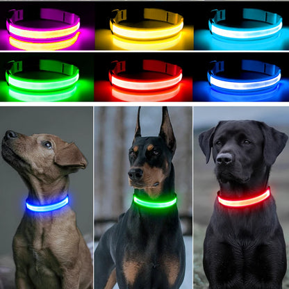 USB Rechargeable LED Dog Collar Night Safety