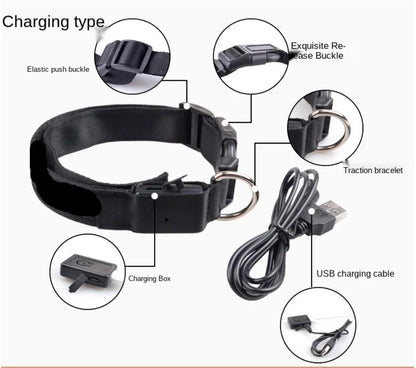 USB Rechargeable LED Dog Collar Night Safety