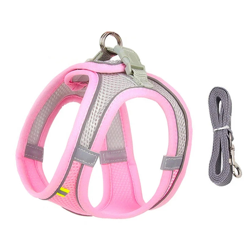 Adjustable Puppy Harness and Leash Set