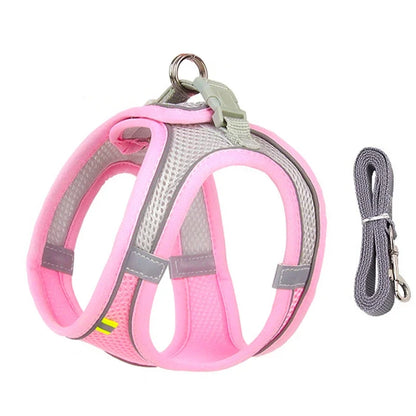 Adjustable Puppy Harness and Leash Set