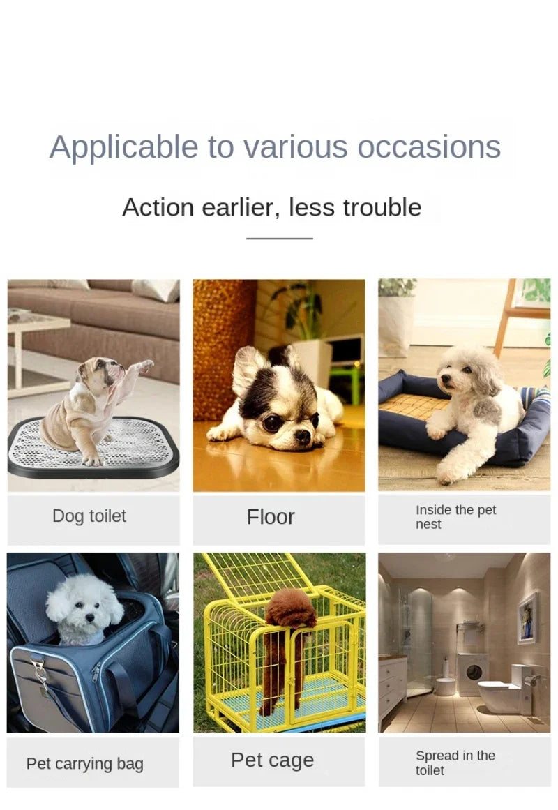 Disposable Puppy Training Pee Pads Quick Dry Multi Size Pack