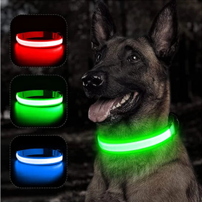 USB Rechargeable LED Dog Collar Night Safety