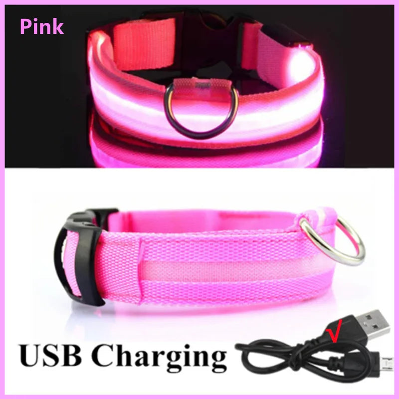 USB Rechargeable LED Dog Collar Night Safety