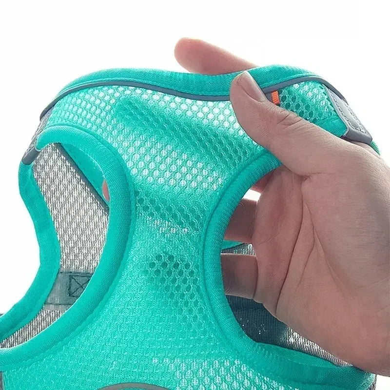 Adjustable Puppy Harness and Leash Set