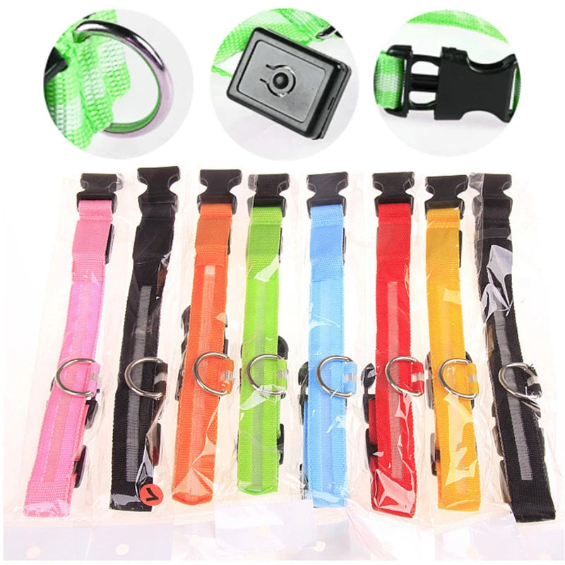 USB Rechargeable LED Dog Collar Night Safety