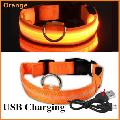 USB Rechargeable LED Dog Collar Night Safety