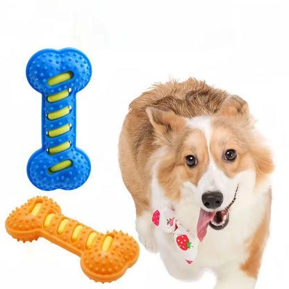 Rubber Bone Bite-Resistant Puppy Chew Toy