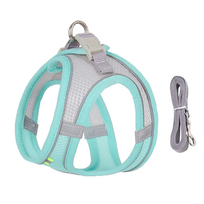 Adjustable Puppy Harness and Leash Set