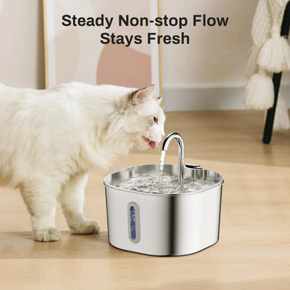 Smart WiFi App Video Pet Feeder Automatic Cat & Dog Food Dispenser with Stainless Steel Bowl