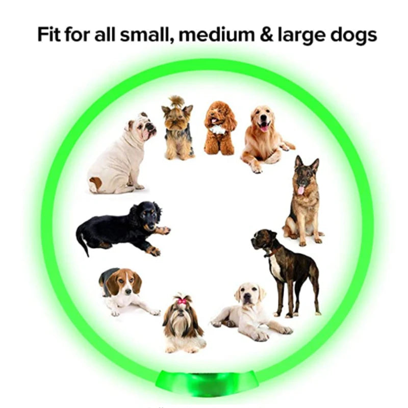 USB Rechargeable LED Dog Collar Night Safety