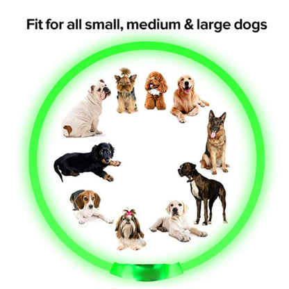 USB Rechargeable LED Dog Collar Night Safety