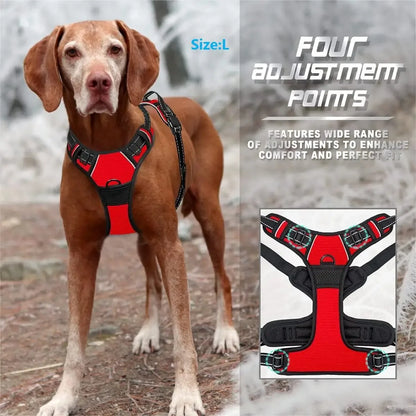 Leather Dog Harness Collar and Leash Set