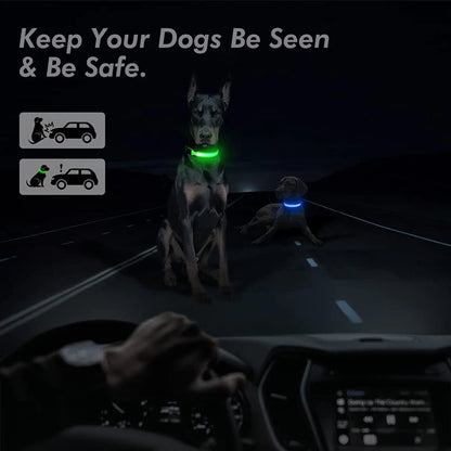 USB Rechargeable LED Dog Collar Night Safety
