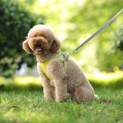 Adjustable Puppy Harness and Leash Set