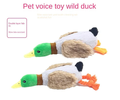 Plush Duck Squeaky Dog Chew Toy with Rope