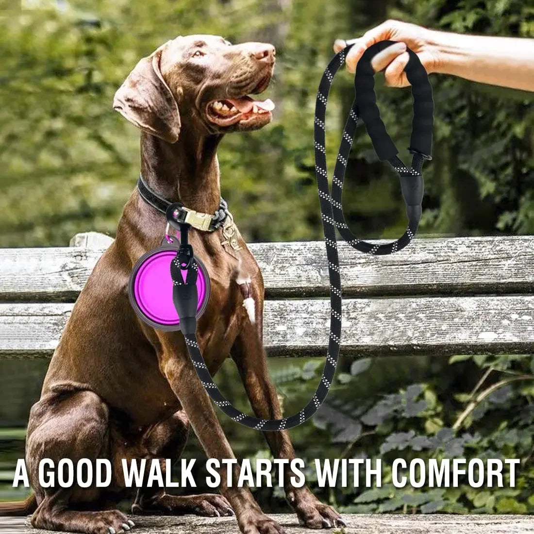 Heavy-Duty Reflective Dog Leash for Large Dogs